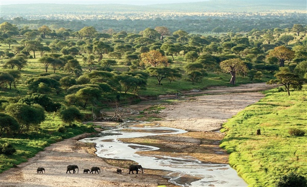 WELCOME to the one and only Tarangire Safari Lodge