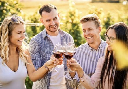 From Sea to Cellar: Wine Tours from Cavo Zoe