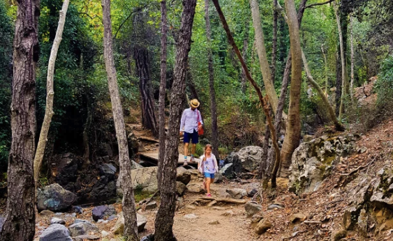 Explore the Natural Trails